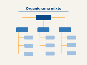 Types of organizational charts of a company