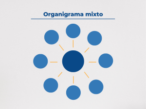 Types of organizational charts of a company